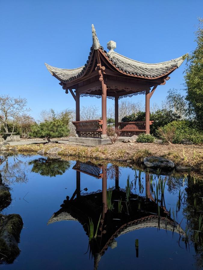 High Point Guesthouse - Next To Seattle Chinese Garden Екстер'єр фото